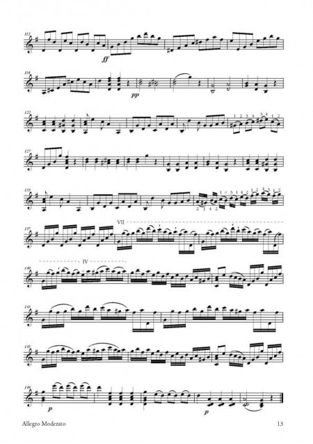 De Lhoyer [I]Grande sonate pour la guitare[/I]