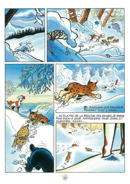 BD Toupoil [I]Mes trois lynx[/I]