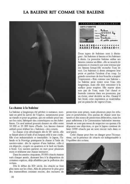 Les chansons animalières de Jean-Yves Lacombe, livre + CD