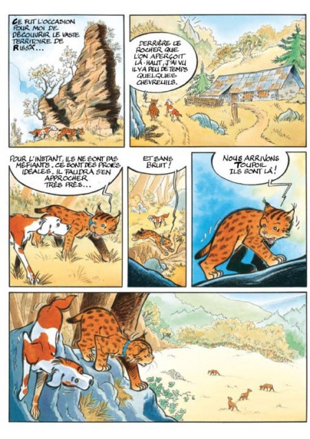 BD Toupoil [I]Mes trois lynx[/I]