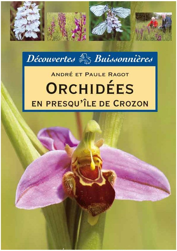 Orchidées en Presqu'île de Crozon Orchidées en Presqu'île de Crozon