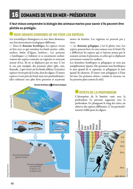 Géographie et écologie par l'exemple