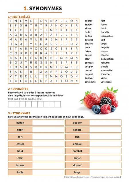 Vocabulaire par les mots mêlés