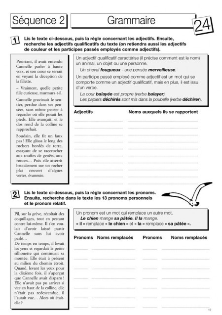 Le français par le roman : Cannelle et le lutin