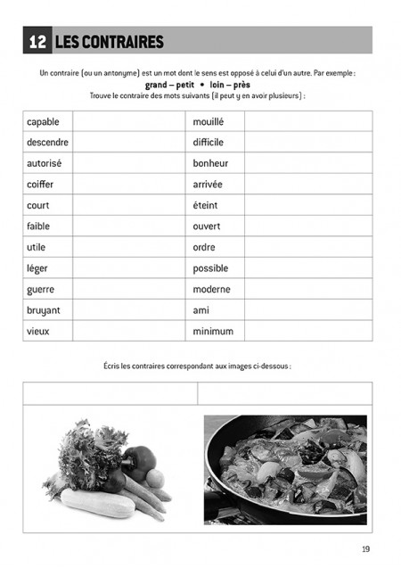 J'ai du vocabulaire
