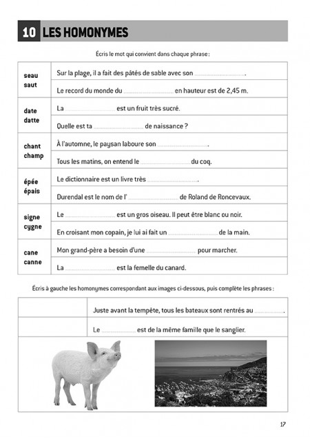 J'ai du vocabulaire