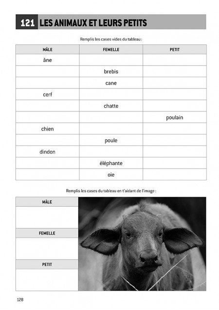 J'ai du vocabulaire