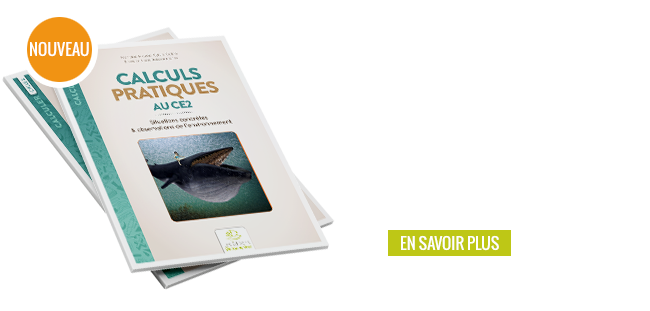 Fichier - Calculs Pratiques au CE2