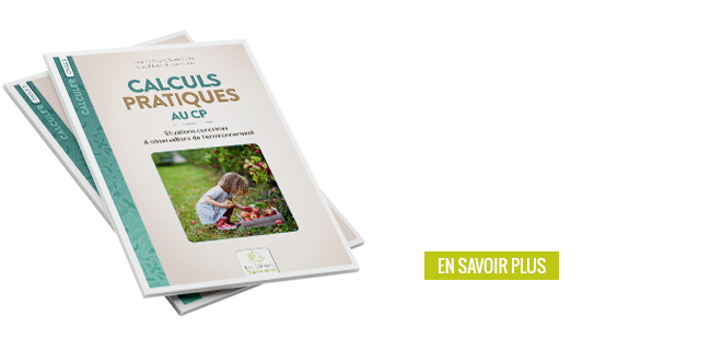 CALCULS PRATIQUES AU CP