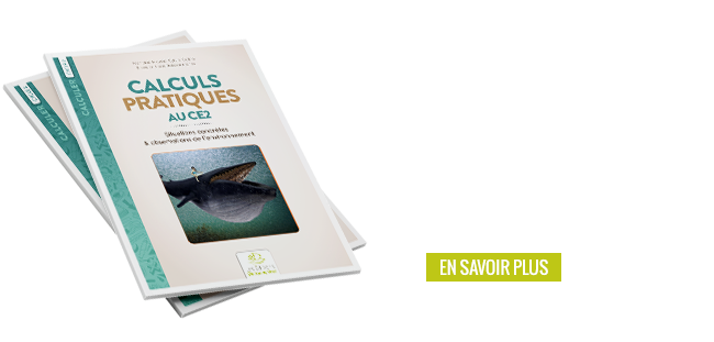 Fichier - Calculs Pratiques au CE2